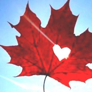 Meet your Posher, Janice